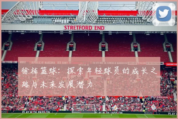 徐栋篮球：探索年轻球员的成长之路与未来发展潜力