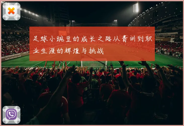 足球小豌豆的成长之路从青训到职业生涯的辉煌与挑战