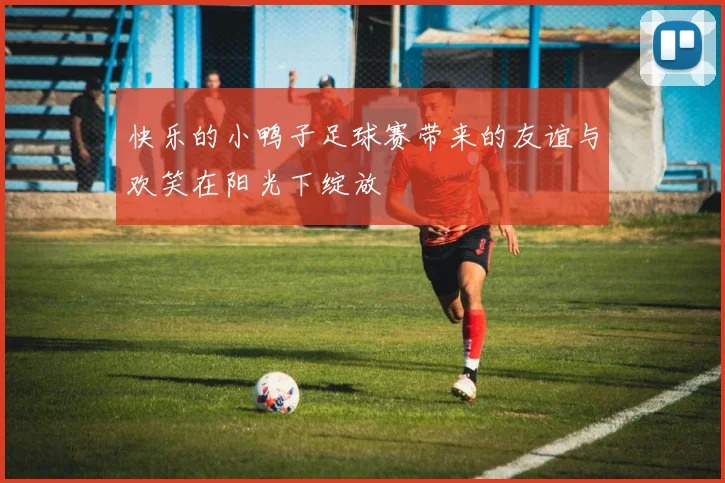 快乐的小鸭子足球赛带来的友谊与欢笑在阳光下绽放
