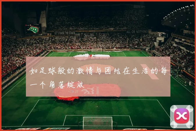 如足球般的激情与团结在生活的每一个角落绽放