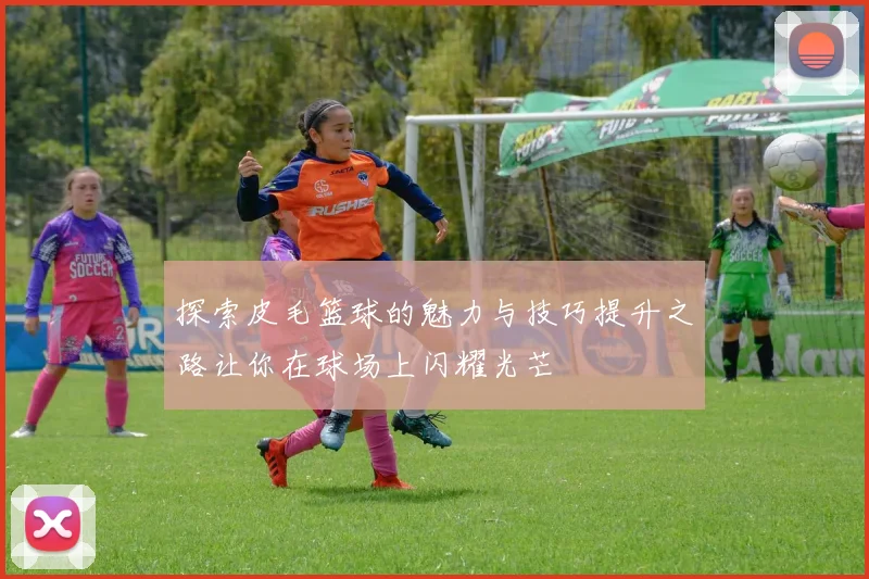 探索皮毛篮球的魅力与技巧提升之路让你在球场上闪耀光芒