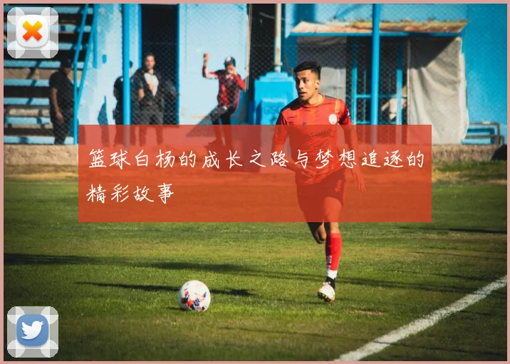 篮球白杨的成长之路与梦想追逐的精彩故事