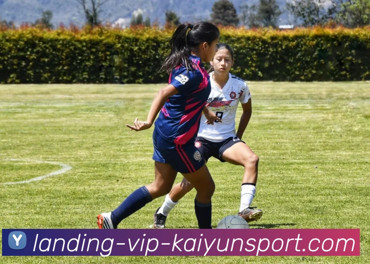 App Interface Preview